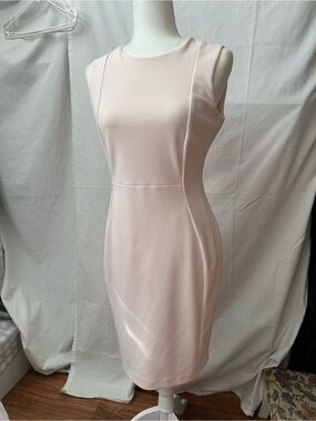 Calvin Klein Blush Pink Sheath Dress | Size 6 | Classic Work/Occasion